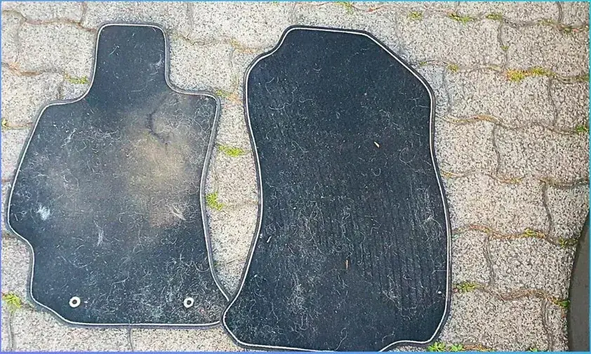 Fußmatten vorher, mit Tierhaaren und Staub auf der ganzen Fläche